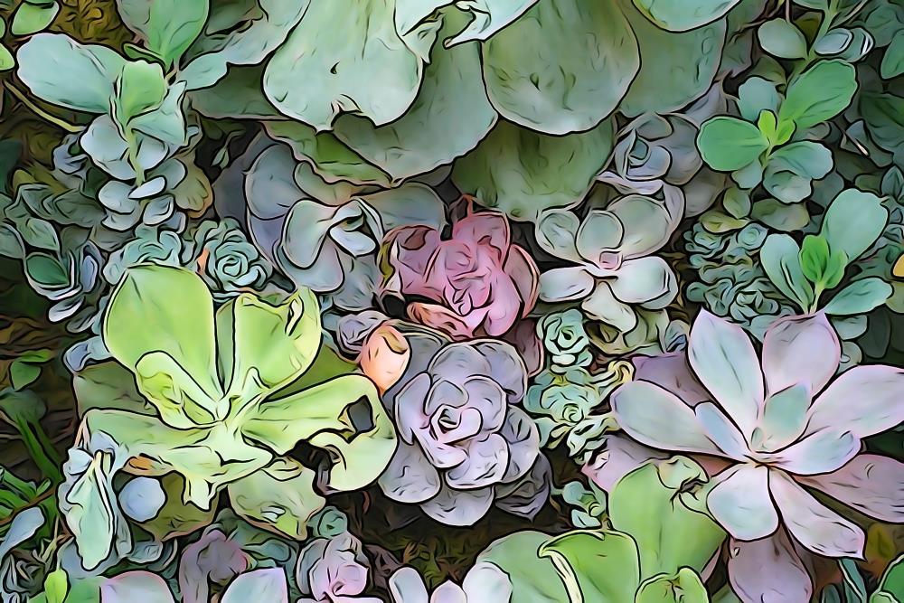 Walled Succulents 3